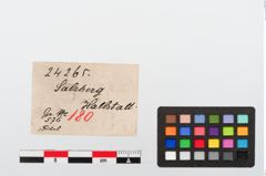 Etiketten zu Bronzemarzabottofibel (NHMW-PRAE-024265)